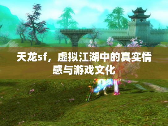 天龙sf，虚拟江湖中的真实情感与游戏文化
