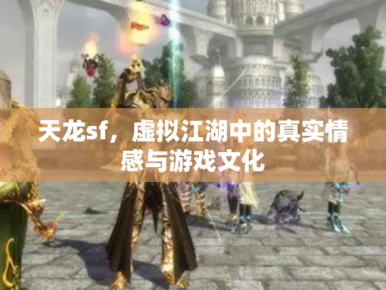 天龙sf，虚拟江湖中的真实情感与游戏文化