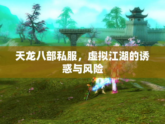 天龙八部私服，虚拟江湖的诱惑与风险