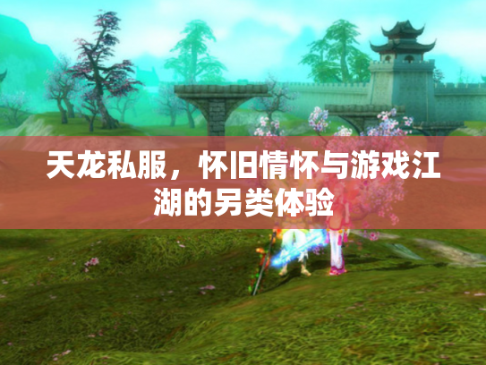 天龙私服，怀旧情怀与游戏江湖的另类体验