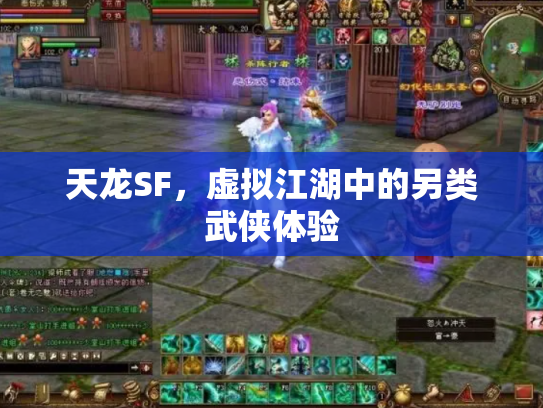 天龙SF，虚拟江湖中的另类武侠体验