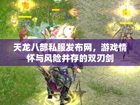天龙八部私服发布网，游戏情怀与风险并存的双刃剑