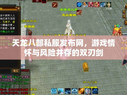 天龙八部私服发布网，游戏情怀与风险并存的双刃剑
