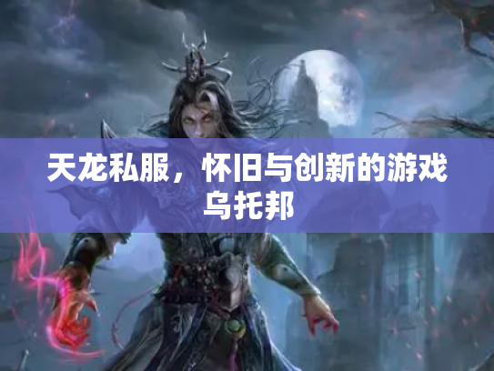 天龙私服，怀旧与创新的游戏乌托邦