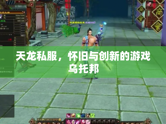天龙私服，怀旧与创新的游戏乌托邦