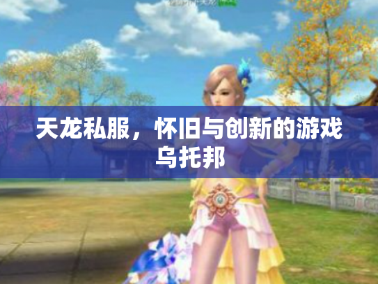 天龙私服，怀旧与创新的游戏乌托邦