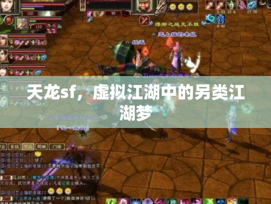 天龙sf，虚拟江湖中的另类江湖梦