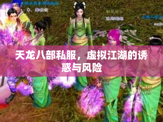 天龙八部私服，虚拟江湖的诱惑与风险