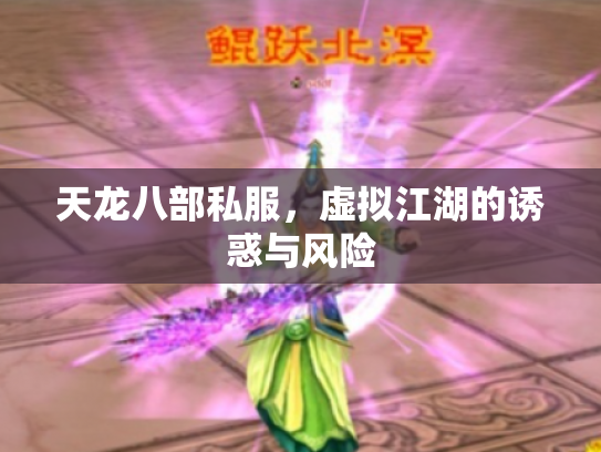 天龙八部私服，虚拟江湖的诱惑与风险