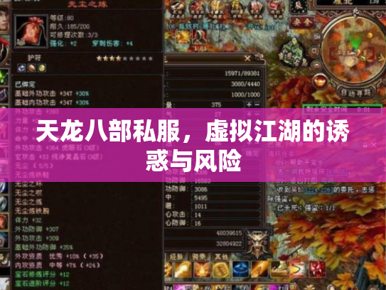 天龙八部私服，虚拟江湖的诱惑与风险