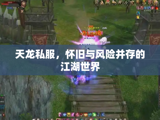 天龙私服，怀旧与风险并存的江湖世界