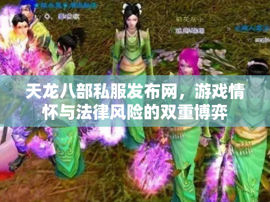 天龙八部私服发布网，游戏情怀与法律风险的双重博弈