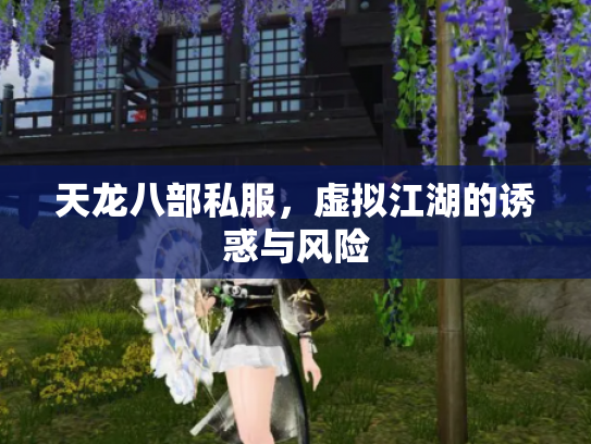 天龙八部私服，虚拟江湖的诱惑与风险