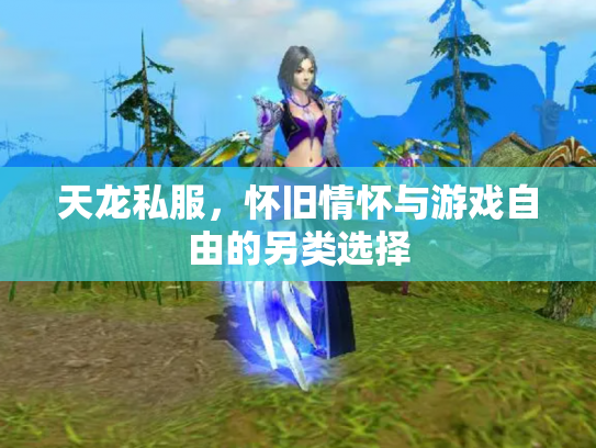 天龙私服，怀旧情怀与游戏自由的另类选择