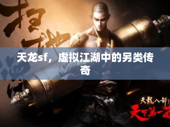 天龙sf，虚拟江湖中的另类传奇