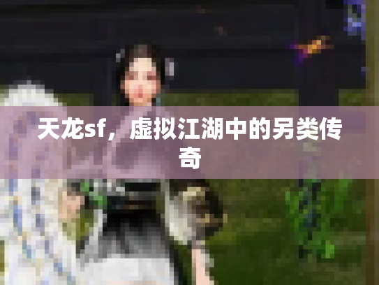 天龙sf，虚拟江湖中的另类传奇