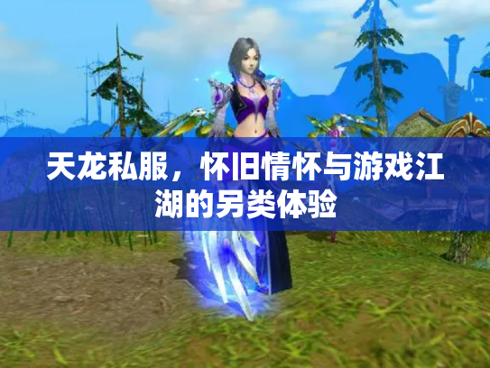 天龙私服，怀旧情怀与游戏江湖的另类体验
