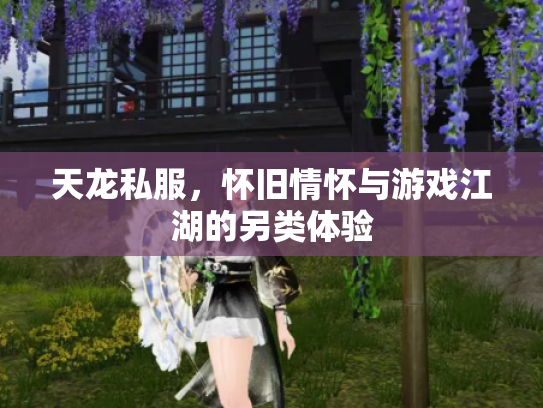 天龙私服，怀旧情怀与游戏江湖的另类体验