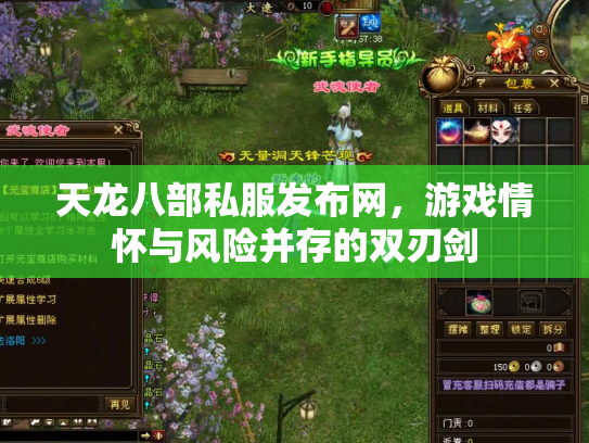 天龙八部私服发布网，游戏情怀与风险并存的双刃剑
