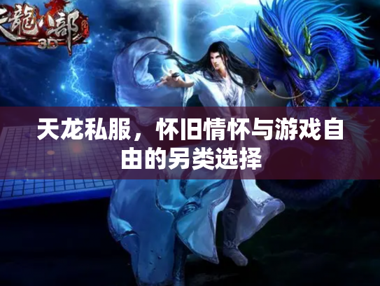 天龙私服，怀旧情怀与游戏自由的另类选择