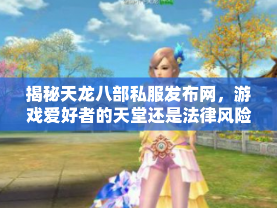 揭秘天龙八部私服发布网，游戏爱好者的天堂还是法律风险区？