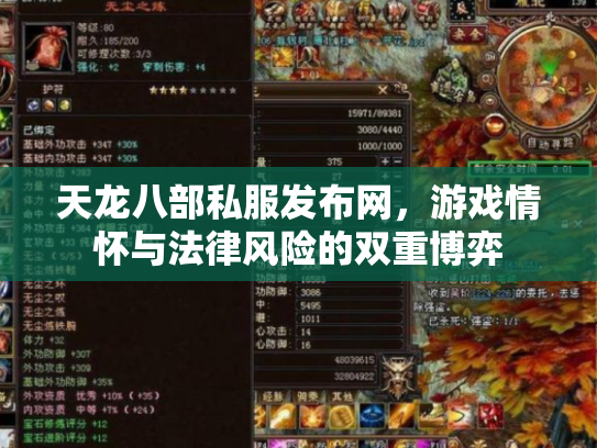 天龙八部私服发布网，游戏情怀与法律风险的双重博弈