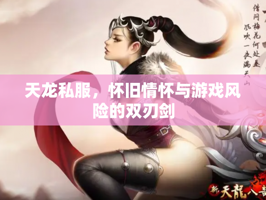 天龙私服，怀旧情怀与游戏风险的双刃剑
