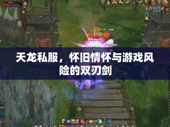 天龙私服，怀旧情怀与游戏风险的双刃剑