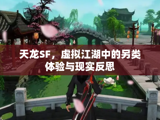 天龙SF，虚拟江湖中的另类体验与现实反思