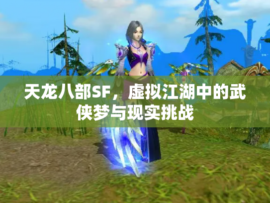 天龙八部SF，虚拟江湖中的武侠梦与现实挑战