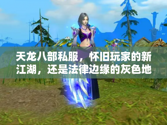 天龙八部私服，怀旧玩家的新江湖，还是法律边缘的灰色地带？