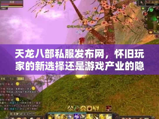 天龙八部私服发布网，怀旧玩家的新选择还是游戏产业的隐患？