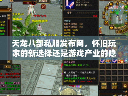 天龙八部私服发布网，怀旧玩家的新选择还是游戏产业的隐患？