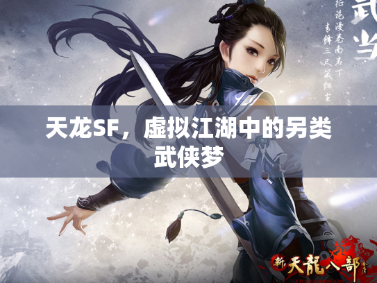 天龙SF，虚拟江湖中的另类武侠梦