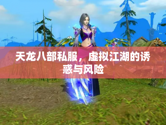天龙八部私服，虚拟江湖的诱惑与风险