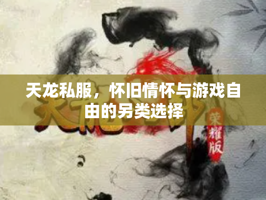 天龙私服，怀旧情怀与游戏自由的另类选择