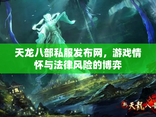 天龙八部私服发布网，游戏情怀与法律风险的博弈