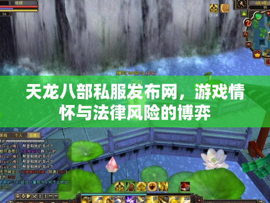天龙八部私服发布网，游戏情怀与法律风险的博弈