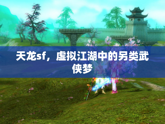 天龙sf，虚拟江湖中的另类武侠梦