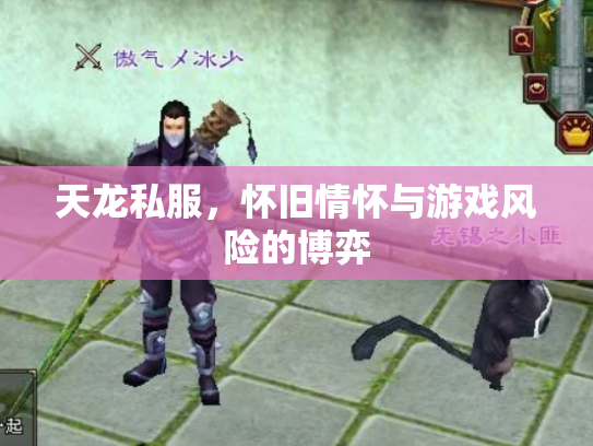 天龙私服，怀旧情怀与游戏风险的博弈