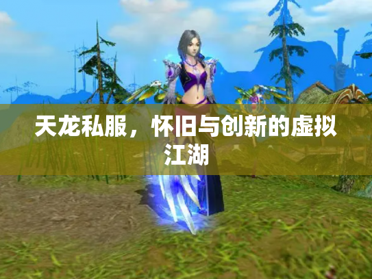 天龙私服，怀旧与创新的虚拟江湖