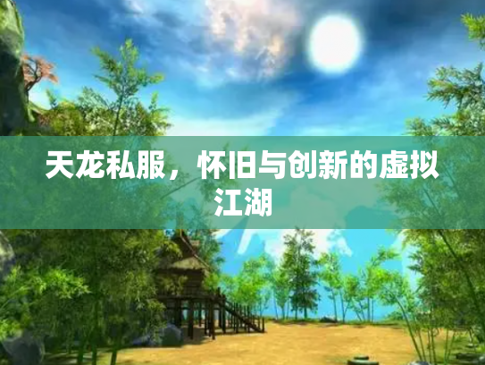 天龙私服，怀旧与创新的虚拟江湖