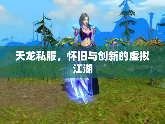 天龙私服，怀旧与创新的虚拟江湖