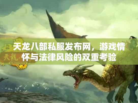 天龙八部私服发布网，游戏情怀与法律风险的双重考验