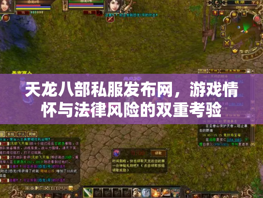 天龙八部私服发布网，游戏情怀与法律风险的双重考验