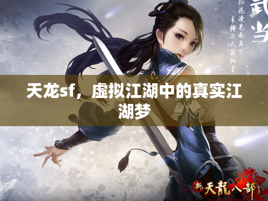 天龙sf，虚拟江湖中的真实江湖梦