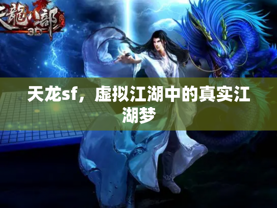 天龙sf，虚拟江湖中的真实江湖梦
