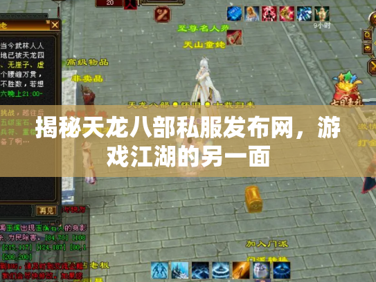 揭秘天龙八部私服发布网，游戏江湖的另一面