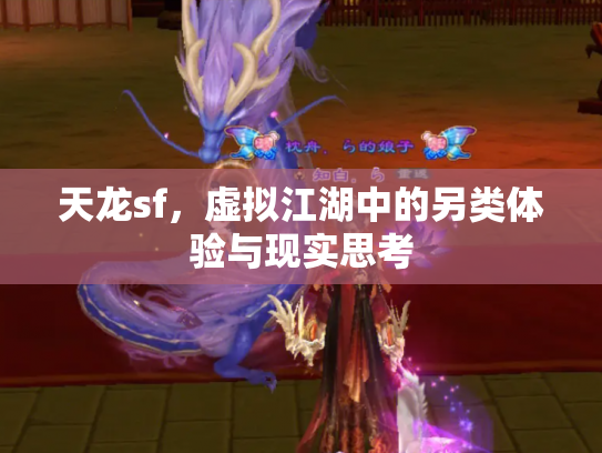 天龙sf，虚拟江湖中的另类体验与现实思考