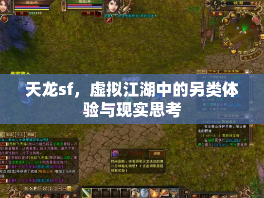 天龙sf，虚拟江湖中的另类体验与现实思考